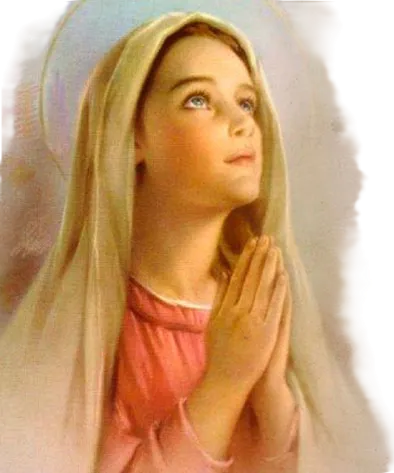 NatividadVirgenMaria